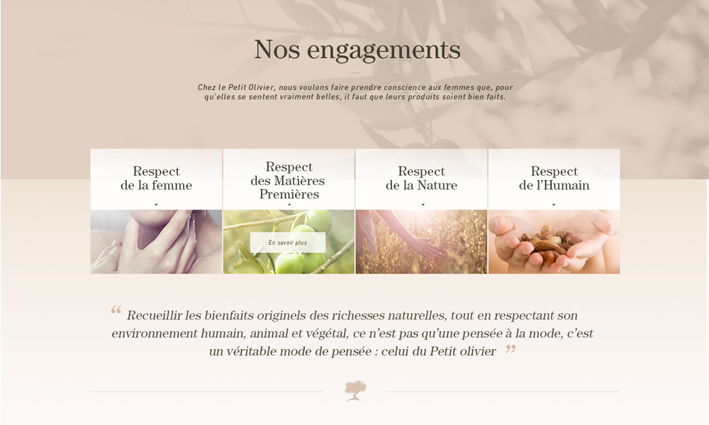 réalisation site de commerce en ligne Le Petit Olivier, magento, exemple de contenu CMS