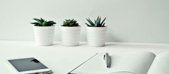 plantes, carnets et téléphone sur un bureau 